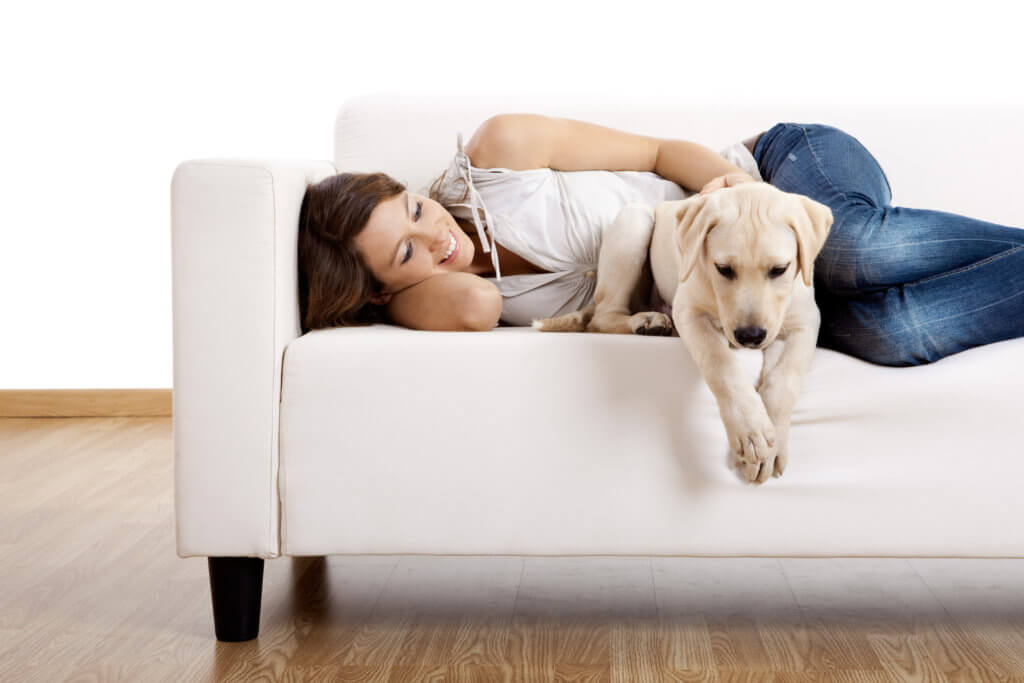 upholstery cleaning tips